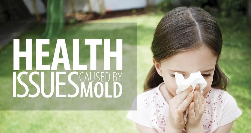 Health Issues Caused by Mold Blog Hero Image