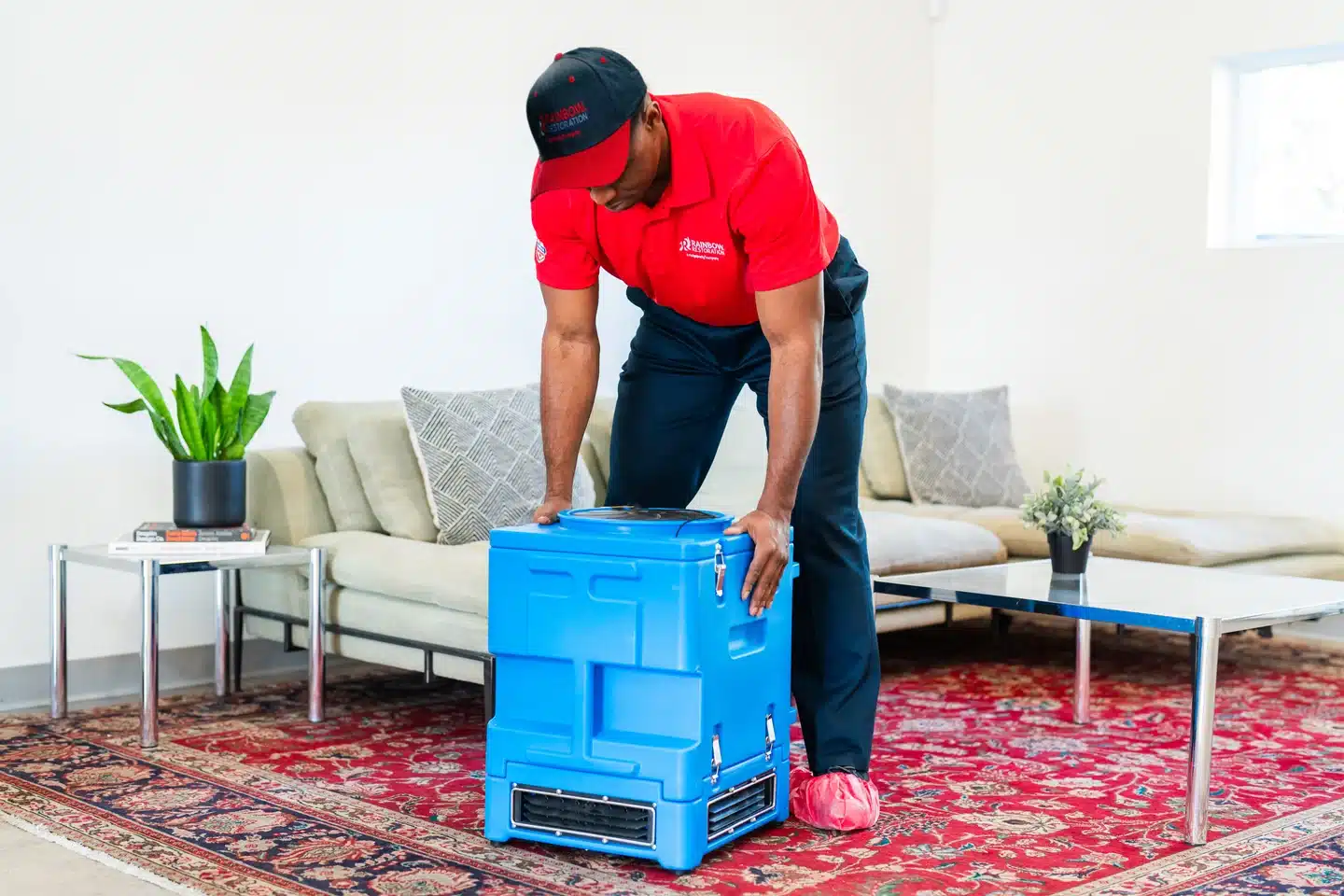 Rainbow Restoration technician setting up equipment in a home for mold remediation
