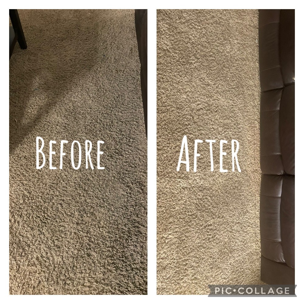 Carpet Cleaning Before and After