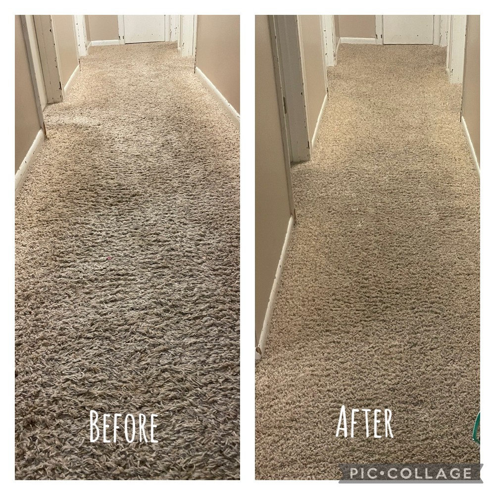 Carpet Cleaning Before and After