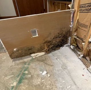 Mold Remediation