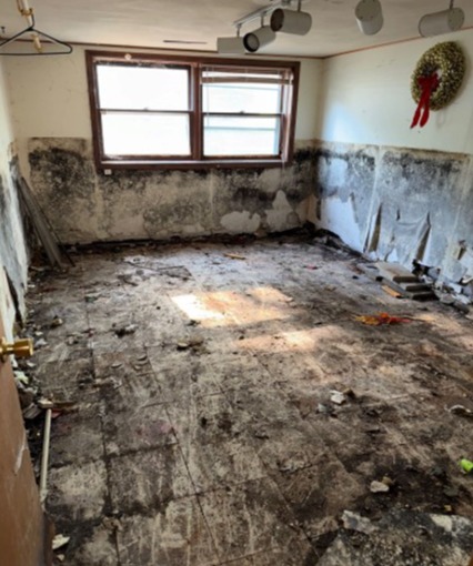 Mold Remediation