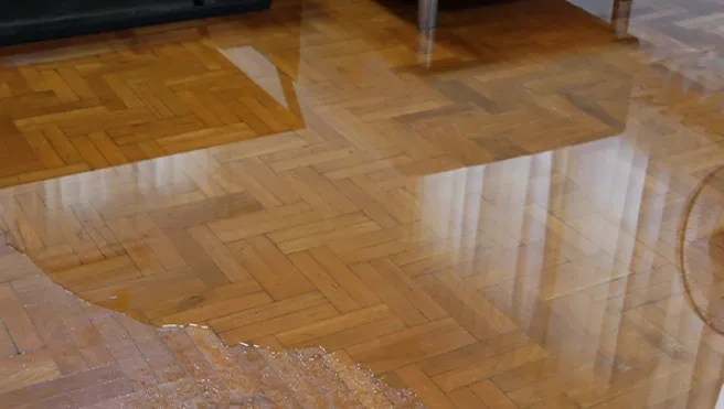 Water from a leak covers a wood floor in a home in Powdersville, SC.