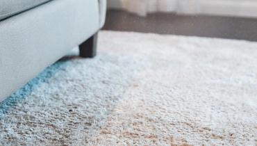 Dust mites in carpet can aggravate asthma and allergy symptoms. Learn how to remove dust mites from carpet with help from Rainbow Restoration. 