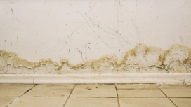 Cracks and black mold on wall.