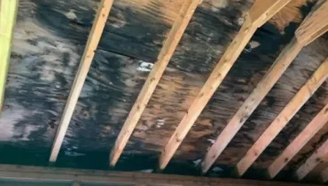 Exposed ceiling joists show extensive dark mold growth caused by long-term hidden moisture, illustrating why professional mold remediation is needed to restore a safe indoor environment.