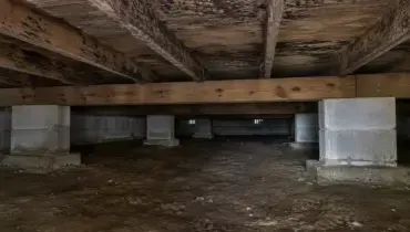 Dark mold staining covers the wooden joists above the damp dirt floor of an older Elizabethton home’s crawl space.