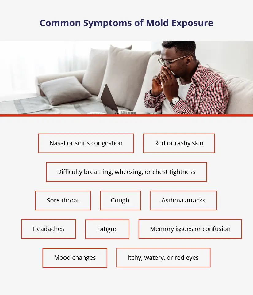 symptoms of mold exposure