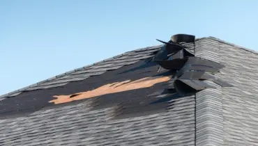 Damaged shingle roof.