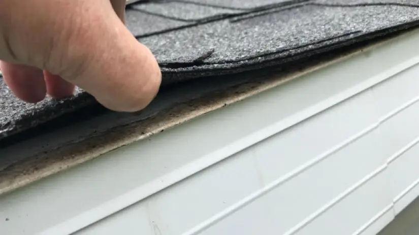 Closeup of person lifting roof material to reveal hailstorm damage