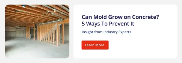 CTA to blog post on how to prevent mold growing on concrete.