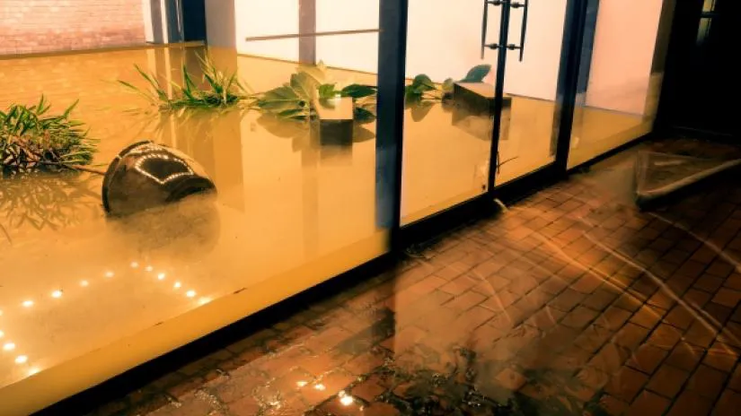 Water flowing through the doors of a flooded business with plants visible in the lobby.