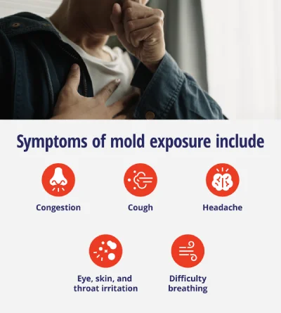 List of mold exposure symptoms: congestion, cough, eye, skin, and throat irritation, headache, and difficulty breathing.