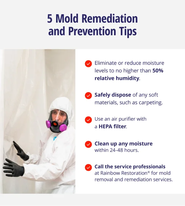 List of mold prevention tips, such as reducing moisture levels to 50% relative humidity, disposing of soft materials, using an air purifier, cleaning up moisture, and calling Rainbow Restoration.