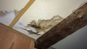 A water-damaged ceiling with visible staining, cracks, and mold growth. Wooden beams and paneling frame the area, highlighting structural deterioration likely caused by a leak or prolonged moisture exposure.