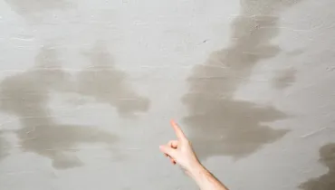 Person pointing to areas on drywall that are wet.
