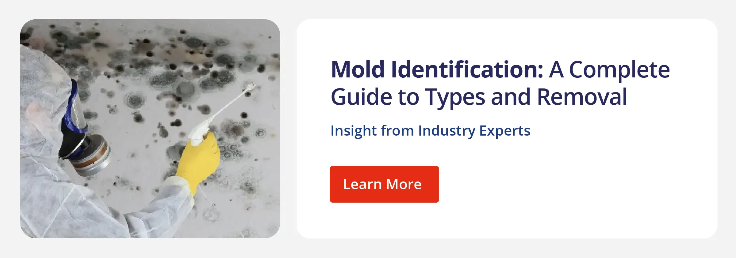 CTA for a post about mold identification with an image of a professional removing mold.