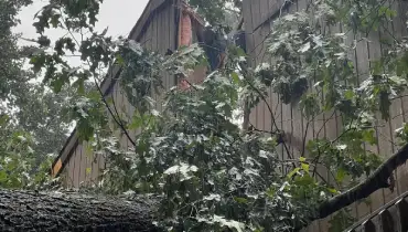 A storm-damaged roof in Kingsport is partially exposed after fallen tree limbs and severe weather impact the home.