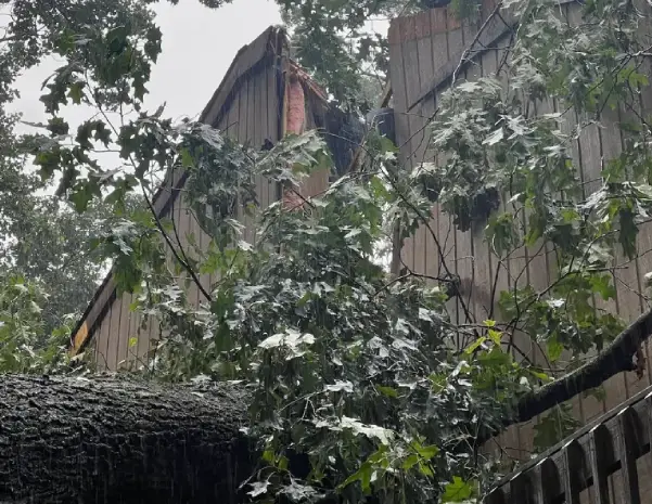A storm-damaged roof in Kingsport is partially exposed after fallen tree limbs and severe weather impact the home.