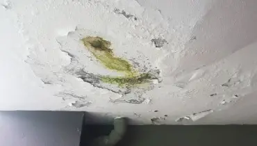 Ceiling with peeling paint and visible water damage, showing a large discolored patch with green and yellow mold growth. A section of piping is visible beneath the damaged area.