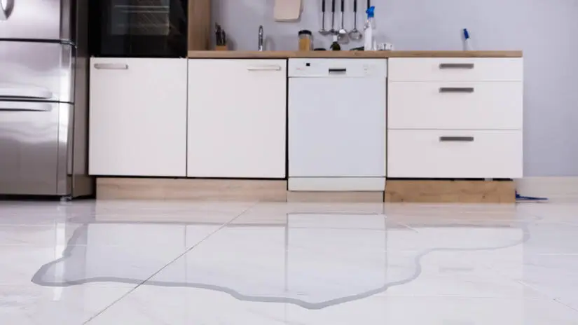 Water leaks from dishwasher onto a kitchen floor.