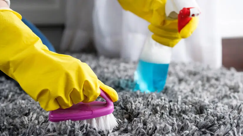 How to Get Mildew Smell Out of Carpet in 7 Steps