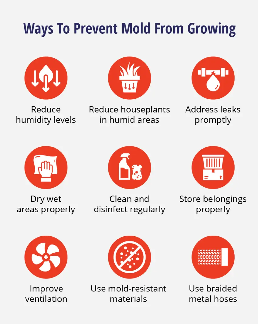 15 Early Signs of Mold: What To Do About Latent Risks | Rainbow Restoration