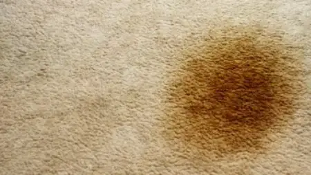 Reappearing carpet stains are often caused by soiling and wicking. Learn how to keep stains at bay and how to stop stains from reappearing after carpet cleaning.