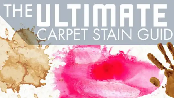 Carpet Stain Guide