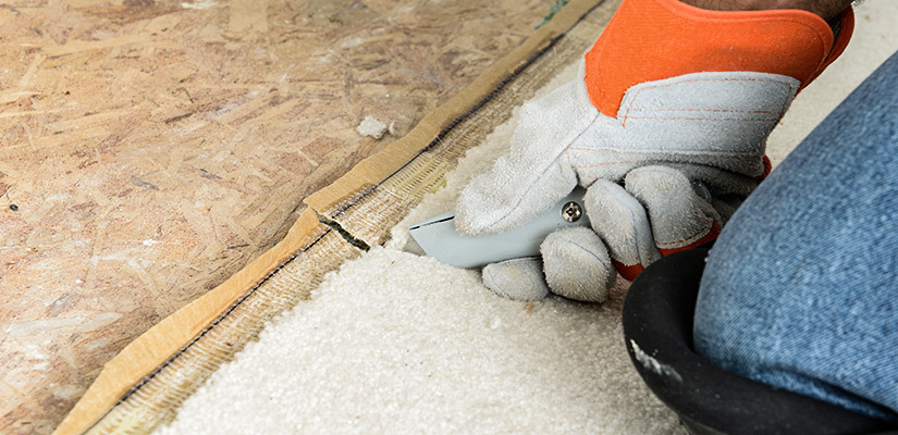 Who pays for carpet cleaning: tenant or landlord? Determining responsibility depends on several factors. Check out Rainbow Restoration’s tips here.