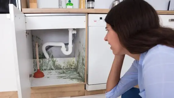 Woman finding mold in her kitchen cabinet.