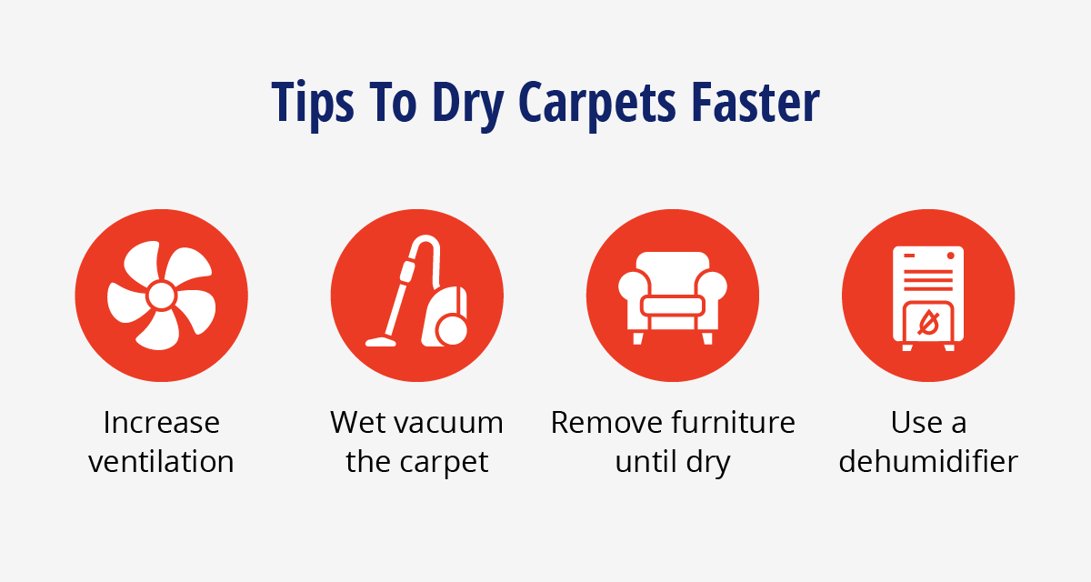 Tips to dry carpets faster including: increase ventilation, wet vacuum the carpet, remove furniture until dry, and use a dehumidifier.