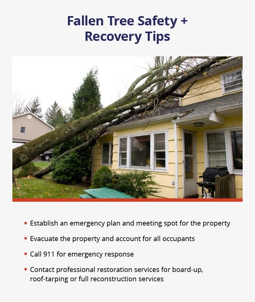 To prepare for if a tree falls, have an emergency plan. If it happens, evacuate the house, call 911, and take other necessary steps.