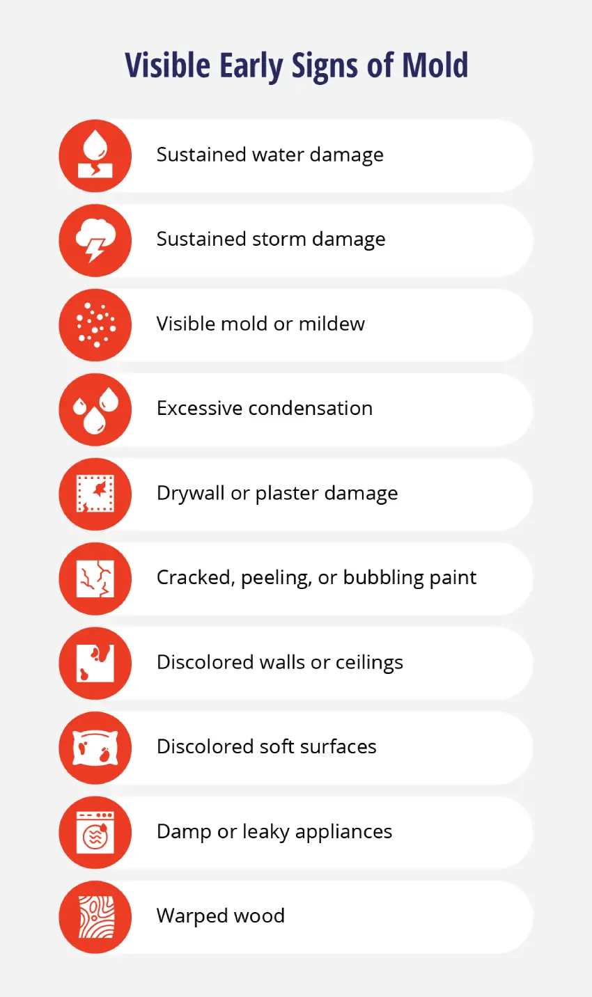 List of visual mold signs, such as water damage, excessive condensation, discolored walls or ceilings, and warped wood.