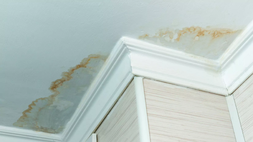 Water damage can look like stains on walls and ceilings, cracked or warped paint, and mold growth, among other signs.